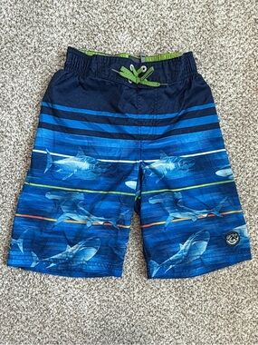 ZeroXposur Blue Shark Stripe Swim Shorts